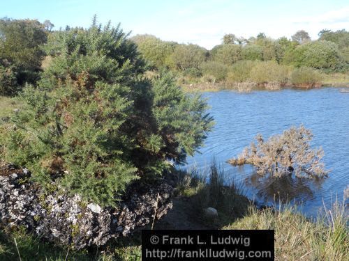 Lough Nasool Drained (2006)
